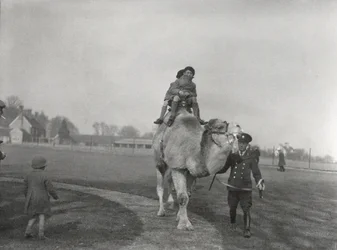 Een Arabische kameel neemt een paar kinderen mee voor een ritje in ZSL Whipsnade, maart 1932